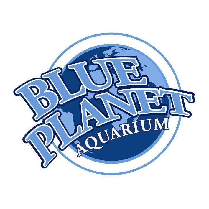 Image result for blue planet aquarium