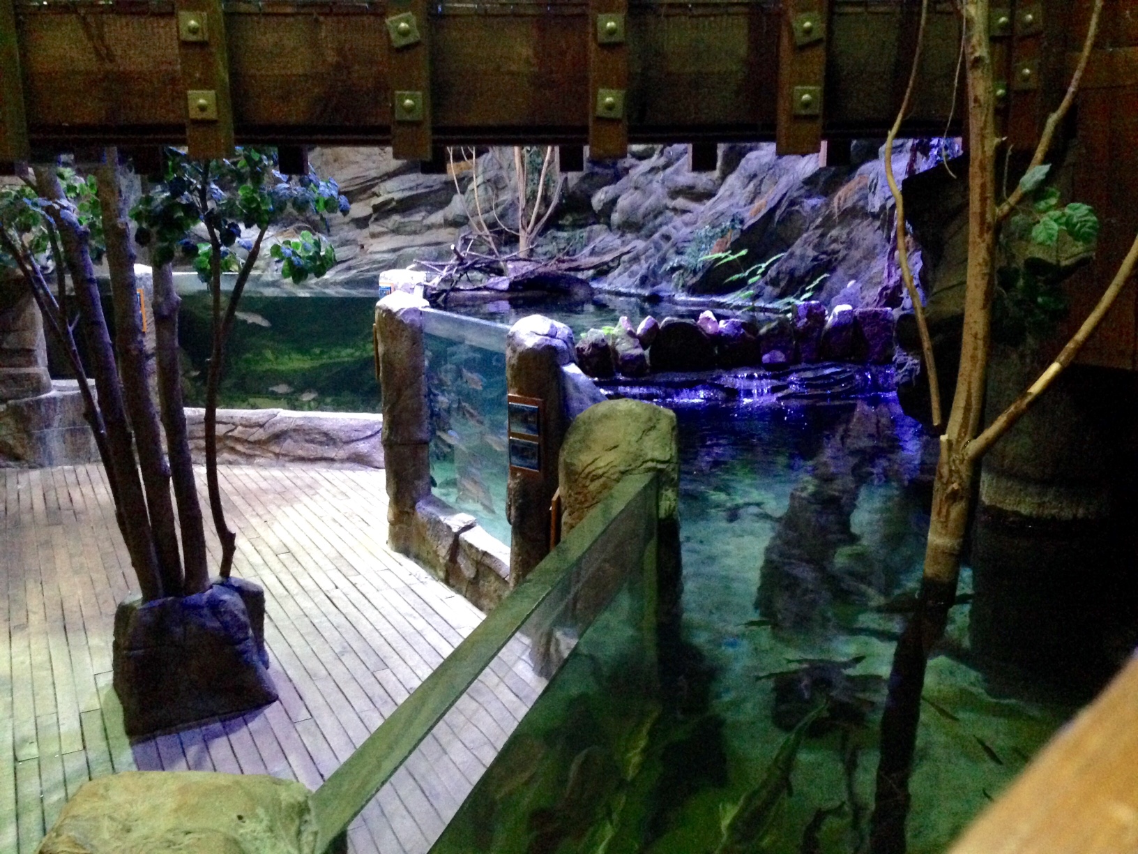 Northern Streams Blue Aquarium