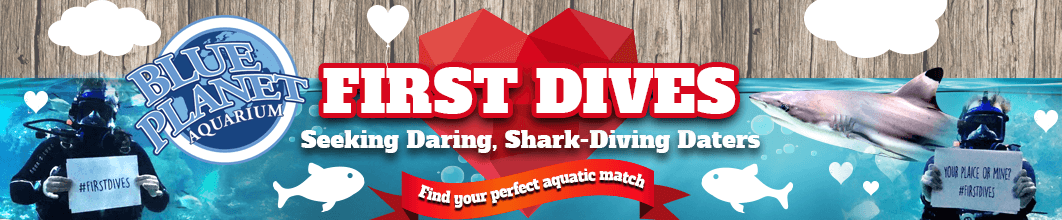 First Dives