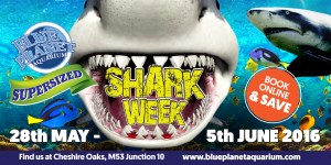 SharkWeekwebslider - May 2016