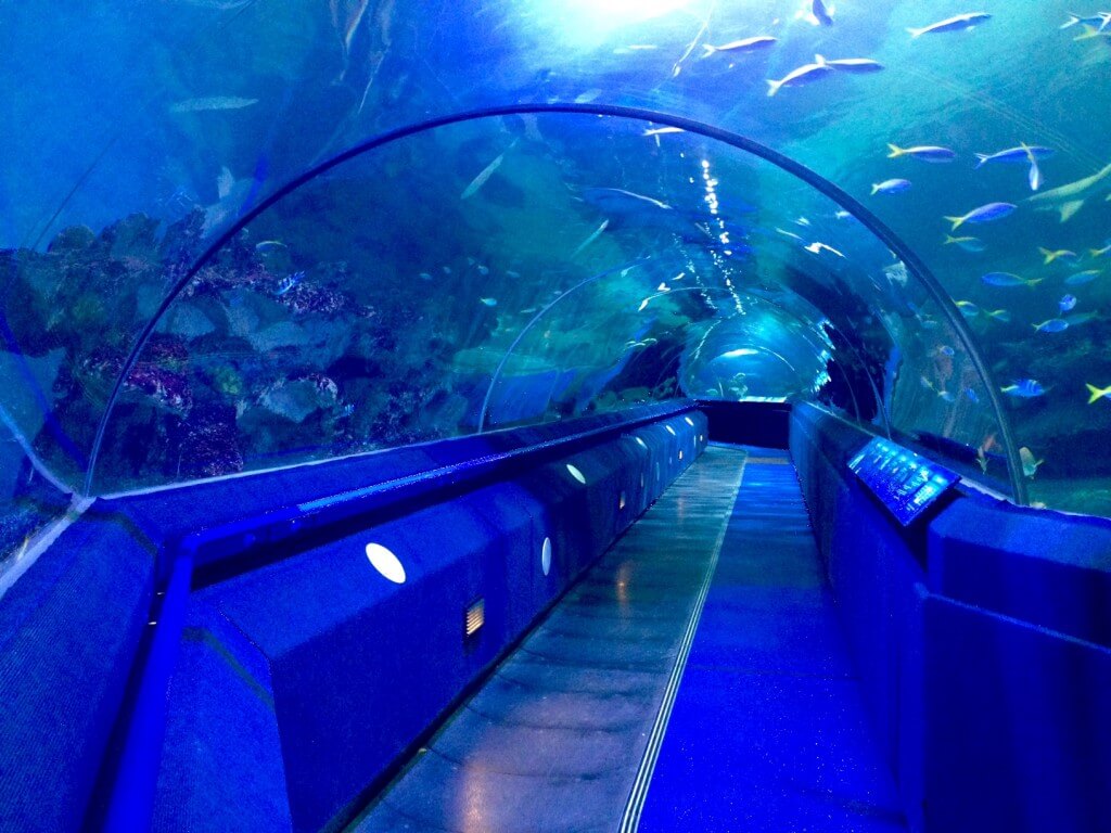 Blue Planet Aquarium 