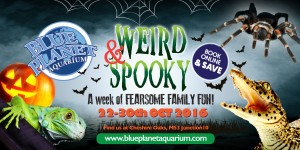 Weird and spooky banner Oct 2016