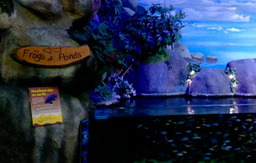Pelican Cove Blue Planet Aquarium Pelican Cove Blue Planet Aquarium