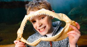 Child with shark jaw