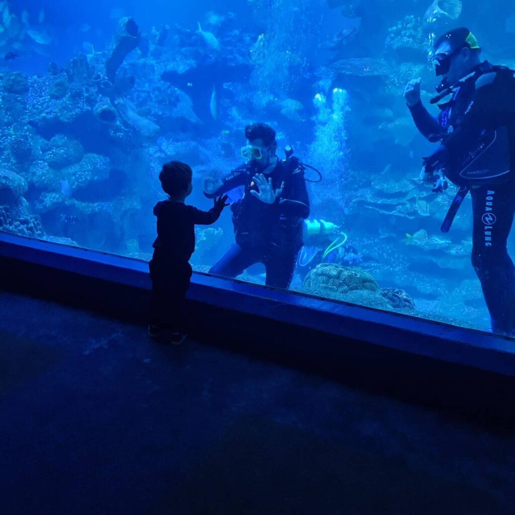 Diver with Son on other side of the glass