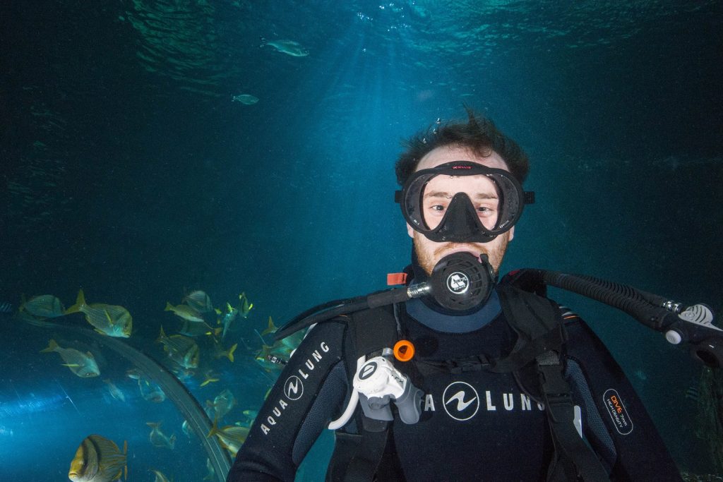 Meet Our Keepers: What’s it Like to Look After Sharks