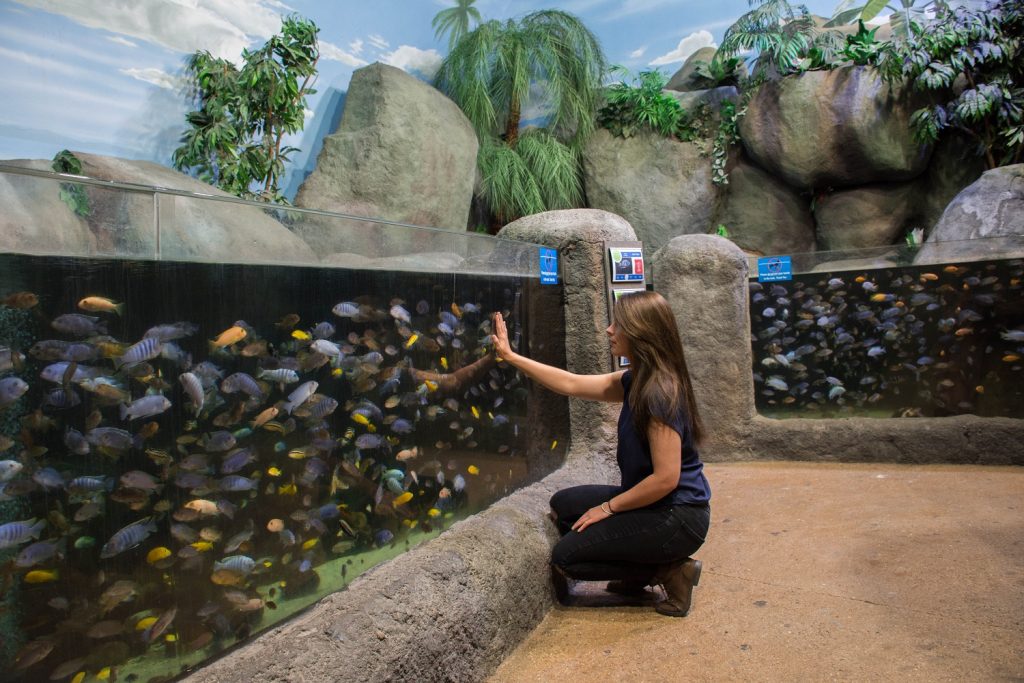 Visitor with hand against the glass at Lake Malawi exhibit