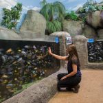 Visitor with hand against the glass at Lake Malawi exhibit
