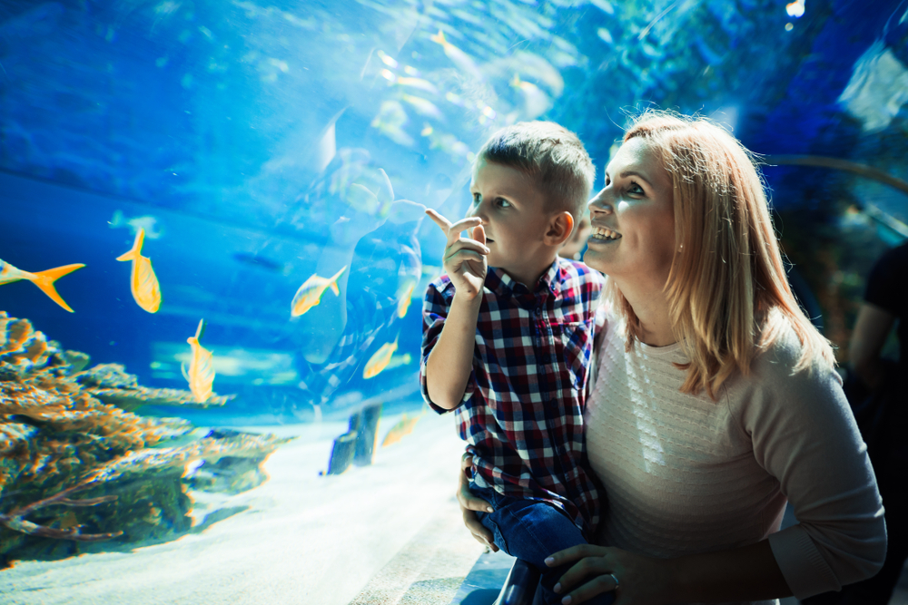 adult and child looking into exhibit