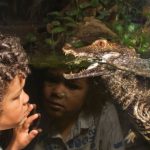 Child looking at Cuvier's Dwarf Caiman through glass