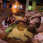 Visitors at Rock Pool exhibit with Lobster