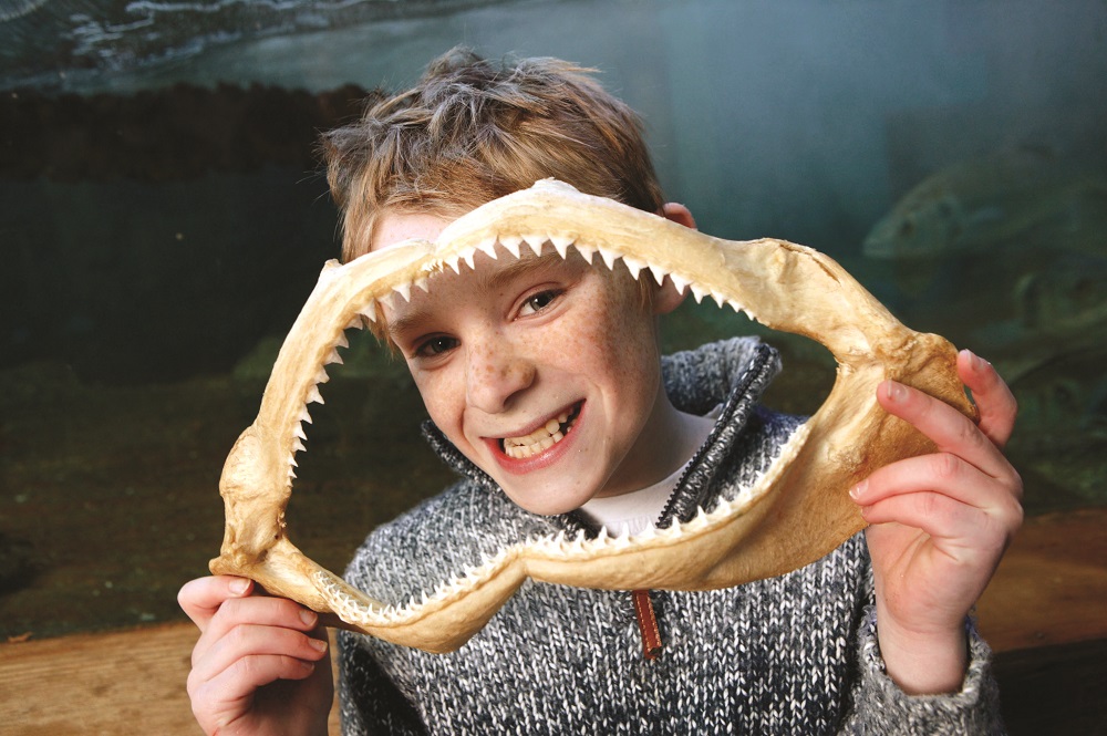 Boy with Shark Jaw