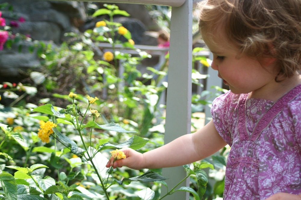 Child with yellow flower