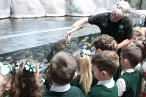 aquarist feeding catfish with kids