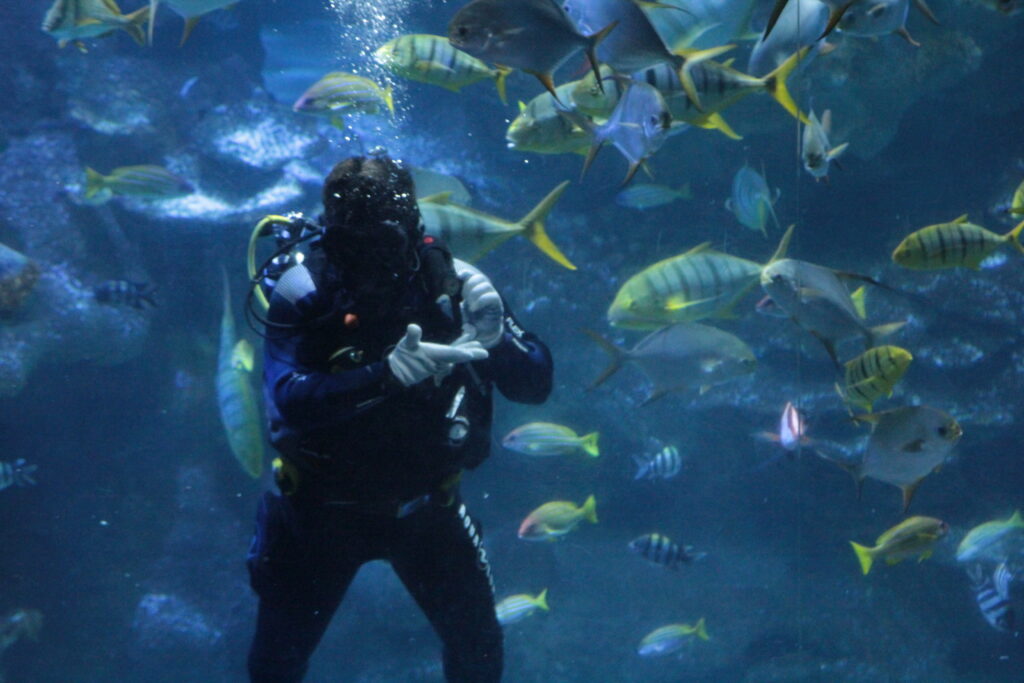 The scuba divers of Blue Planet