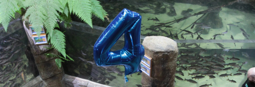4 years old balloon at the aquarium