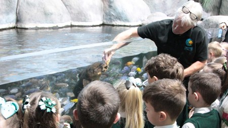 Aquarist showing children a giraffe catfish
