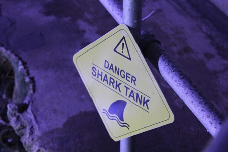 Danger shark tank sign in aquarium