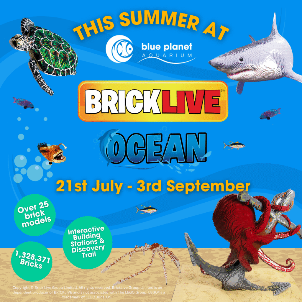 BRICKLIVE Ocean Exhibit Makes a Splash at Blue Planet Aquarium This Summer!