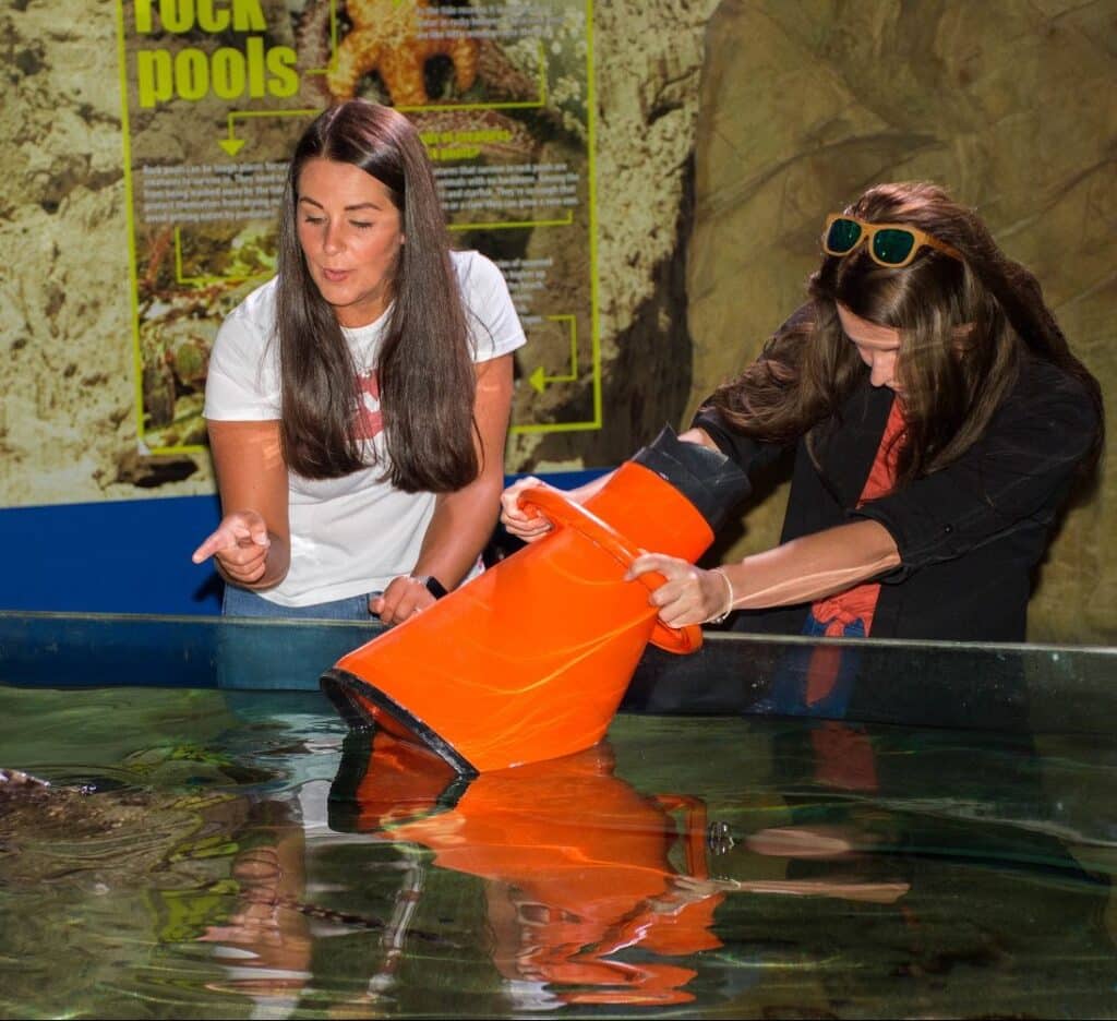 Blue Planet Aquarium is Back Open!