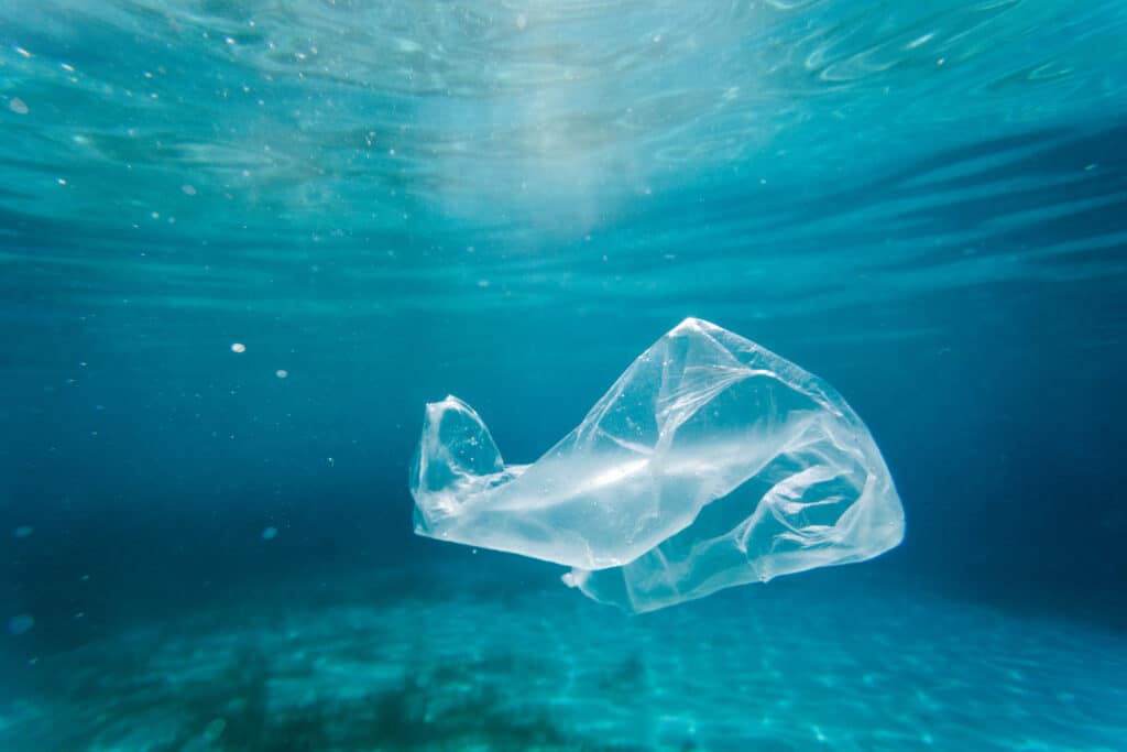 The Impact of Ocean Pollution on Marine Species