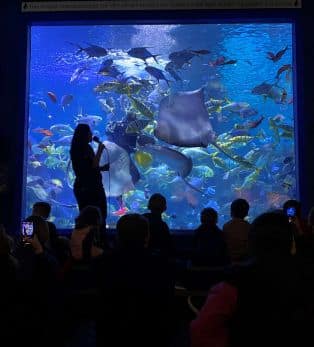 Aquatheatre