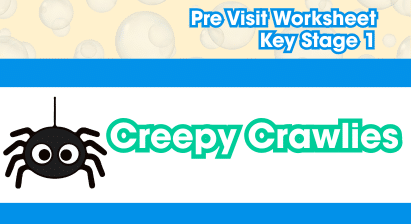 Creepy Crawlies