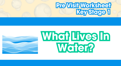 What Lives In Water?