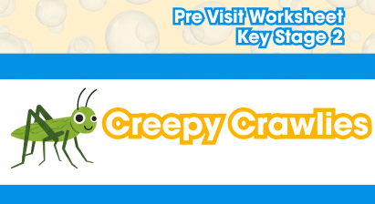 Creepy Crawlies