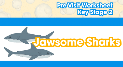 Jawsome Sharks