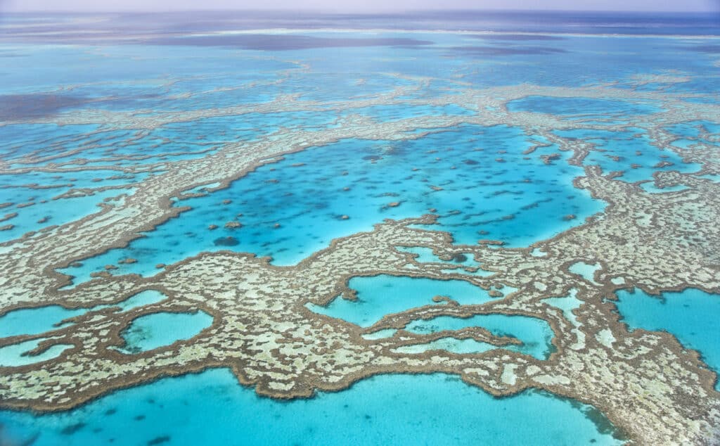 Exploring the World’s Greatest Coral Reefs
