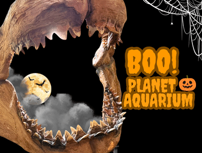 Boo! Planet Aquarium